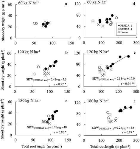 Figure 4. Relationships between total root length and shoot dry weight for NERICA 1 (● –), NERICA 4 (○), and Lemont (×) grown under 12‒21% (v/v) soil moisture content in 2011 (a‒c) and 16‒24% (v/v) soil moisture content in 2012 (e‒f). Rice were subjected to 60 (low N), 120 (medium N), and 180 (high N) kg N ha−1 fertilization. Shoot dry weights and total root lengths were determined at 67 d and 123 d after transplanting in 2011 and 2012, respectively.