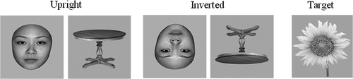 Figure 1. Examples of target flowers and non-target stimuli (faces and tables) in the upright and inverted orientations.