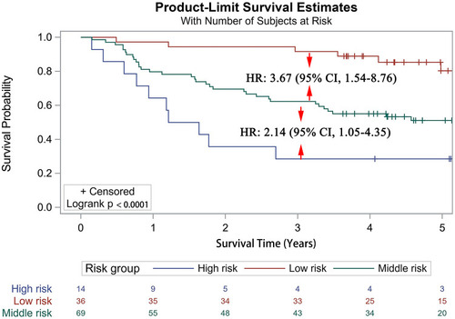 Figure 3 Survival curves stratified by total risk score (low risk: < 69.2; medium risk: 69.2–119.9; and high risk: ≥ 119.9) in the validation cohort.