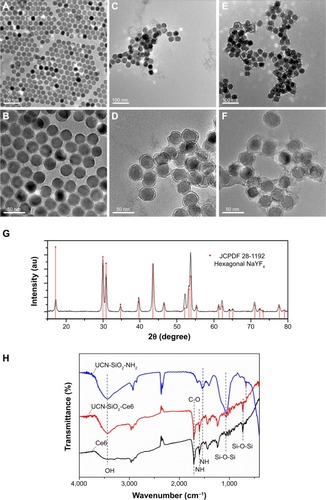 Figure 2 (A–F) Transmission electron microscope images of NaYF4:Yb,Tm UCN, amino group–modified silica–coated UCN and Ce6-conjugated UCN. (G) X-ray diffraction pattern of NaYF4:Yb,Tm UCN. (H) FTIR for UCN-SiO2-NH2, Ce6, and UCN-SiO2-Ce6.Abbreviations: Ce6, chlorin e6; FTIR, Fourier-transform infrared; UCN, upconversion nanoparticle.