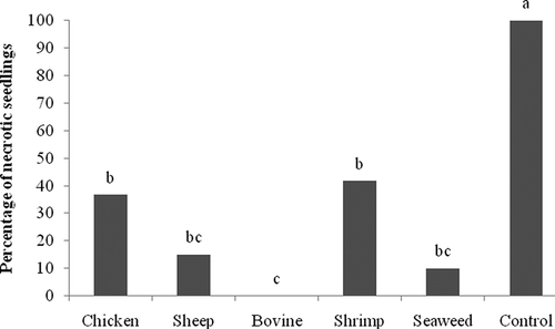 Fig. 1. In vivo effect of compost teas made from chicken, sheep, and cow manure, and from shrimp and seaweed composts on necrotic tomato seedlings inoculated with Pythium ultimum. Means with the same letter are not significantly different (P = 0.05) according to Fisher's protected LSD test.