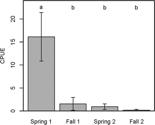 Figure 1. Mean boat electrofishing CPUE (number of fish captured per hour) for each of four sampling periods for the four stocked cohorts of rainbow trout in First Bisby Lake, 2002–2006. The four sampling periods included Spring 1 (first spring after stocking), Fall 1 (first fall after stocking), Spring 2 (second spring after stocking), and Fall 2 (second fall after stocking). Error bars represent one standard error from the mean. Significant differences were found between seasons not sharing a common letter.