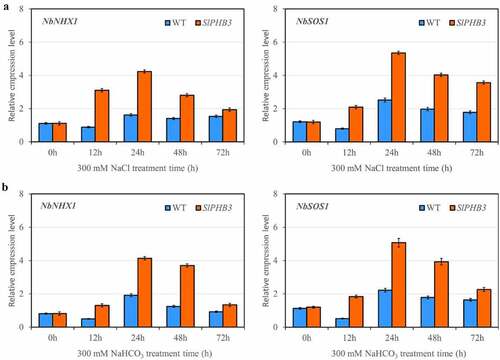 Figure 6. Quantitative qRT-PCR determination of representative gene expression in leaves. Relative expression level of slPHB3 in leaves of wildtype tobacco and transgenic tobacco seedlings exposed to 300 mM NaCl (a) or 300 mM NaHCO3 (b), values are mean ± SD, n = 3. Tublin was used as an internal control.