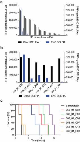 Figure 1. Affinity ranking of scFvs and Kaplan–Meier survival curves for mice co-administered with IgG antibodies and α-cobratoxin. (a) direct and ENC DELFIA of 36 monoclonal scFv-containing supernatants. (b) direct and ENC DELFIA of the top six monoclonal scFv-containing supernatants. (c) Kaplan–Meier survival curves for mice co-administered with IgG antibodies and α-cobratoxin. α-cobratoxin refers to mice injected with α-cobratoxin alone.