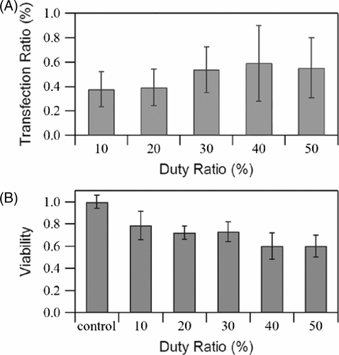 Figure 9. Effects of duty ratio with fixed energy on (A) GFP transfection rate and (B) cell viability measured immediately after exposure. US intensity 4.94 W/cm2, pulse repetition frequency 5 kHz, microbubble concentration 10%. Corresponding duty ratios and insonation times are 10% 60 s, 20% 30 s, 30% 20 s, 40% 15 s, 50% 12 s. The data is averaged from three independent replicates (12 samples) and shown as the mean ± standard deviation.