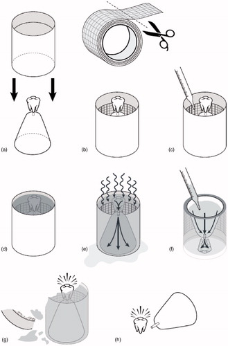 Figure 1. Per the “lost-wax” casting method, a wax model is first hand-crafted, mounted onto a base by a sprue wire, and surrounded by a metal ring (a). A piece of asbestos casting ring liner is cut, wetted for approximately one minute, and formed around the inside of the metal ring (b). Investment powder is then mixed with water to the desired consistency, poured around the wax model inside of the casting ring (with the ring liner in place), vibrated to ensure complete filling of the ring, and then allowed to harden for approximately 30 min to one hour (c and d). After the investment material hardens, the wax is subsequently burned out of the investment material in a heat treatment process lasting from 45 min to two hours, and reaching temperatures of approximately 250–900 °C (approximately 500–1650 °F), depending upon the composition of the investment material (e). Molten metal, typically gold, is then used to fill the negative space left by the burned out (or “lost”) wax in order to form the desired dental fixture (f). The invested casting is cooled for approximately six minutes at room temperature prior to being quenched in a cold-water bath, allowing for further setting of the investment material; the investment material and casting ring liner are subsequently cleaned from the final product with an abrasive sandblaster or a hand-finishing tool (g and h).