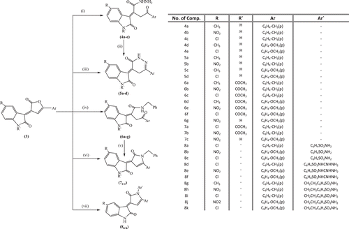 Scheme 2.  Synthesis of the target compounds 4, 5, 6, 7, and 8. Reagents and conditions: (i) NH2NH2,EtOH, Stirr.,(R.T.), (ii) EtOH, M.W., (iii) NH2NH2, EtOH, M.W., (iv) Stirr, (R.T.) or M.W., NH2CH2Ph, EtOH, (v) CH3COOH, HCl reflux or M.W., (vi)NH2CH2Ph, CH3COOH, HCl, M.W., (vii) appreciate sulfonamide, CH3COOH, M.W.