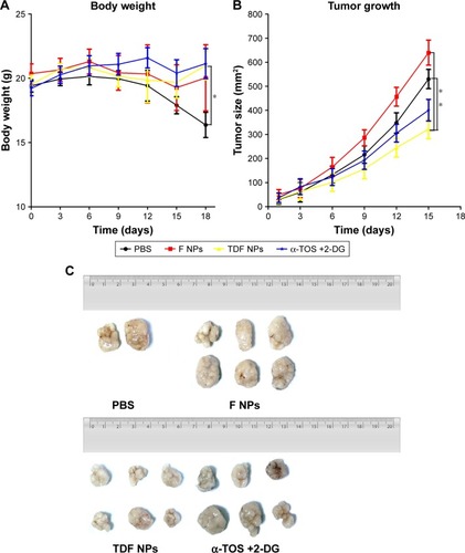 Figure 5 In vivo tumor suppression effects of TDF NPs.Notes: (A) The body weight curves of tumor-bearing mice treated with PBS, nanocontrol, TDF NPs and a combination of α-TOS and 2-DG, respectively; (B) the tumor growth curves, (C) tumors and (D) pathological section images of the tumor and liver tissue. Circles indicated necrosis region, and rectangle indicated the 10×10 zoom region. *P<0.05 compared with PBS or F NPs treatment (nanocontrol). The 4×10 magnification scale bar 500 μm; 10×10 magnification scale bar 200 μm.Abbreviations: TDF NPs, α-TOS-2-DG-loaded and folate receptor-targeted nanoparticles; F NPs, BSA-FA grafted nanoparticles without drug loaded; PBS, phosphate buffer saline; α-TOS, α-tocopheryl succinate; 2-DG, 2-deoxy-d-glucose.