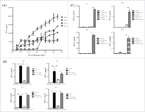 Figure 2. Induction of HLA-G26–40-specific CD4+ T cell responses. (A) CD4+ T cell clones (G1; HLA-DR4/DR9/DR53, G2; HLA-DR4/DR9/DR53, G3; HLA-DR9/DR53 and G4; HLA-DR1/DR15) were tested for their capability to respond to various concentrations of HLA-G26–40 peptide using autologous PBMCs as APCs. (B) Inhibition of HLA-G26–40-specific CD4+ T cell responses by anti-HLA-DR mAb L243 but not by anti-HLA class I mAb W6/32 (negative control) (*p < 0.05, Student's t test). (C) CD4+ T cell clones were evaluated using L-cells transfected with individual HLA-DR genes as APCs to determine the restricting HLA class II alleles (*p < 0.05, Student's t test). Supernatants were collected after 48 h of incubation and analyzed by ELISA for IFNγ production (*p < 0.05, one-way ANOVA with the Holm post-hoc test). Bars and error bars indicate the mean and SD, respectively. Experiments were performed in duplicate. (*p < 0.05, Student's t test). Bars and error bars indicate the mean and SD, respectively. Experiments were performed in duplicate.