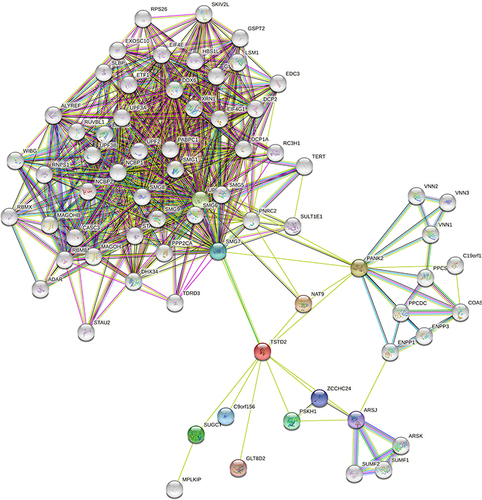 Figure 6 The PPI network of TSTD2-related DEGs and the most significant module.