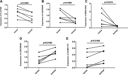 Figure 9 Gene expression profiles in clinical samples. (A) FLJ21408 expression profiles in clinical samples. (B) LINC00638 expression profiles in clinical samples. (C) MIR210HG expression profiles in clinical samples. (D) LINC00648 expression profiles in clinical samples. (E) ALMS1-IT1 expression profiles in clinical samples. In clinical samples, the target gene expression was normalized to GAPDH (ΔCt), data are presented as 2−ΔCt.