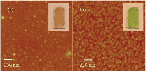 Figure 5. AFM of H2TPyP(4) (a) before and (b) after exposure to HCl vapours. (Insets are photographs of the cast films before and after exposure of HCL).