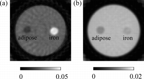 Figure 6 CT images of adipose and iron solution obtained by the X-ray events in the energy ranges (a) E 1 and (b) E 4
