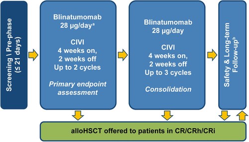 Figure 1. Study Design. a9 µg/day in cycle 1 (days 1 to 7). bSafety follow-up visit at 30 days (± 3 days) after protocol-specific therapy; thereafter long-term follow-up was every 3 months (± 1 month). alloHSCT, allogeneic hematopoietic stem cell transplantation; CIVI, continuous intravenous infusion; CR, complete remission (CR was defined as ≤ 5% bone marrow blasts, no evidence of disease and full recovery of peripheral blood counts defined as platelets > 100,000/µL and absolute neutrophil count [ANC] > 1000/µL); CRh, complete remission with partial recovery of peripheral blood counts (≤ 5% bone marrow blasts, no evidence of disease, platelets > 50,000/ µL and ANC > 500/µL); CRi, complete remission with incomplete hematological recovery (≤ 5% bone marrow blasts, no evidence of disease, platelets > 100,000/µL or ANC > 1000/µL).