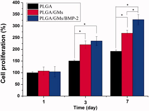 Figure 5. Cell proliferation on PLGA, PLGA/GMs and PLGA/GMs/BMP-2 scaffolds on days 1, 3 and 7. The data were represented as mean ± standard deviation (SD; n = 3; *p < .05).