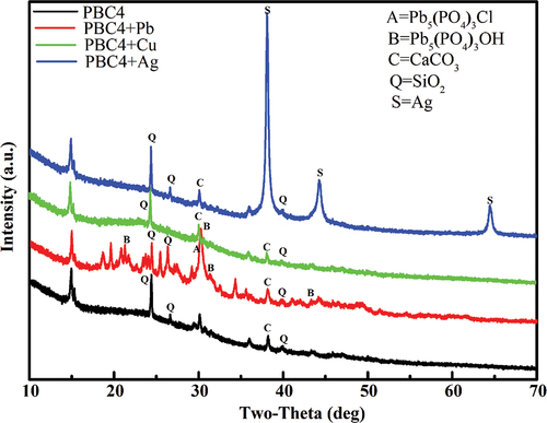 Figure 4. XRD patterns of PBC4 before and after Pb(II), Cu(II), and Ag(I) adsorption. PBC4=P-biochar prepared at 400°C.