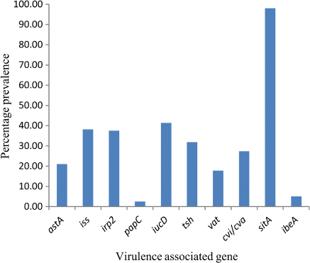 Figure 2. Prevalence of virulence-associated genes among extra-intestinal E. coli isolated from broiler chicks with colibacillosis.