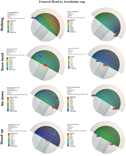 Figure 5. Sliding distance and pressure between femoral head to acetabular cup.
