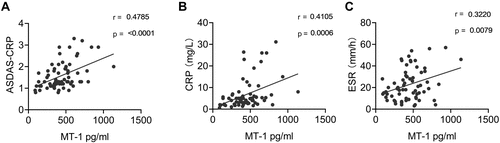 Figure 3 Correlation of serum MT1 levels and AS clinical indexes. Serum MT1 levels in AS patients (n = 67) were positively correlated with ASDAS (A), CRP (B) and ESR (C). ASDAS, Ankylosing Spondylitis Disease Activity Score; CRP, C-reactive protein; ESR, erythrocyte sedimentation rate. Each symbol represents an individual Gout patient. Spearman correlation analysis was used to calculate significance. P < 0.05 represents a significant difference.