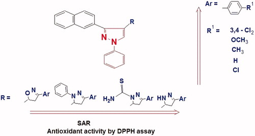Figure 5. Structure activity relationship of the pyrazole derivatives against DPPH radical scavenging assay.