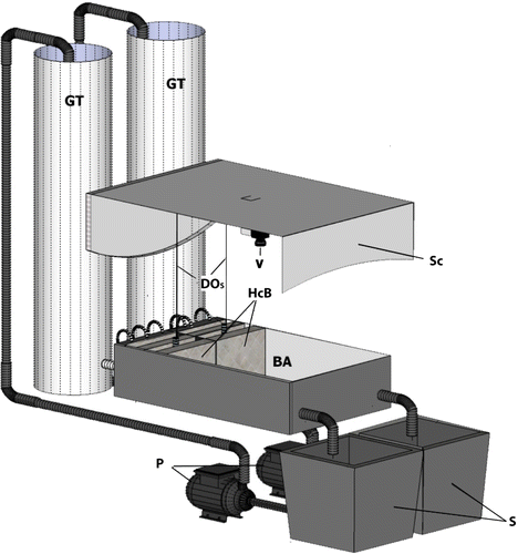 Figure 3  Diagrammatic representation of the low O2 choice test tank used by Cook et al. at the Leigh laboratory. Water passing through gassing towers (GT) was either aerated or deoxygenated (with nitrogen gas) before passing through the inflow into the choice box. Oxygen sensors (DOS) enabled control of inflow O2. Water was passed initially through coarse diffusers before flowing through two fine honeycomb baffles (HcB) creating strictly laminar flow within the behavioural arena (BA). Water would drain to sumps (S) before being pumped (P) back to the gassing towers. A video camera (V) enabled observation and SwisTrack behavioural tracking software was used to record fish movement and choice within the experimental apparatus. Sc indicates the presence of a cloth screen. See Cook et al. (Citation2012a) for more detail. Image reproduced with kind permission from Elsevier.
