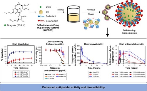 Figure 10 Main design and result for the development of TCG-SM.Abbreviations: BCS, Biopharmaceutical Classification System; blank-CE, Cremophor EL without ticagrelor; blank-SM, self-microemulsifying drug delivery system without ticagrelor; CE, Cremophor EL; TCG, ticagrelor; TCG-SM, ticagrelor-loaded self-microemulsifying drug delivery system.