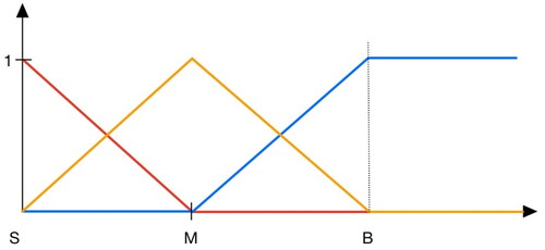 Figure 2. Type A fuzzy membership function.