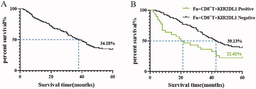 Figure 5. (A) Kaplan–Meier survival curve of patients with ESCC 5 years after surgical resection; (B) Kaplan–Meier 5-year survival curve of ESCC patients positive and negative for Fn-induced expression of the inhibitory receptor KIR2DL1 on the surface of CD8+ T lymphocytes.