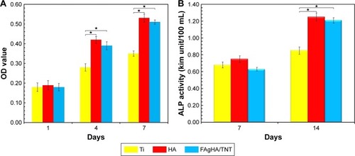 Figure 11 (A) MTT assay for the viability of osteoblasts cultured on bare Ti substrate, HA coating, and FAgHA coating at various incubation periods; (B) ALP activity of osteoblasts cultured on bare Ti substrate, HA coating, and FAgHA coating in 7 and 14 days. Data are presented as mean ± standard deviation (n=5), one-way ANOVA, (*p<0.05).Abbreviations: MTT, 3-(4,5-dimethyl-2-thiazolyl)-2,5-diphenyl-2-H-tetrazolium bromide; HA, hydroxyapatite; ALP, alkaline phosphatase; TNT, titania nanotube; FAgHA, F-and-Ag-substituted HA.