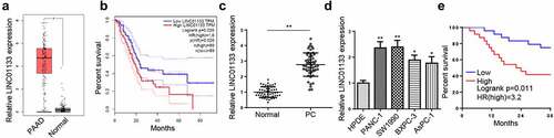 Figure 1. LINC01133 is upregulated in PC.
