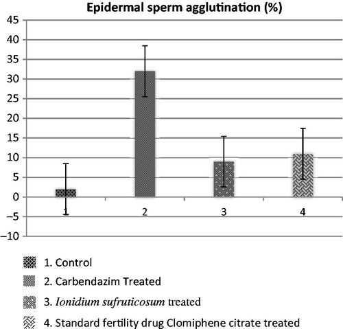 Figure 1. Effect of I. suffruticosum on epididymal sperm agglutination in Carbendazim-induced subfertile male rats after 28 days of treatment. (A) Sperms of Group of rats treated with I. suffruticosum (450×). (B) Sperms of Group of rats treated with Clomiphene citrate (450×). (C) Agglutination of sperms in carbendazim-treated group (450×). (D) Agglutination of sperms of group 3 rat treated with I. suffruticosum (450×). (E) Seminiferous tubule of a carbendazim-treated rat showing specific depletion of pachytenespermatocyte and total seminiferous tubular atrophy (450×). (F) Seminiferous tubules of a carbendazim-induced subfertile male rats treated with I. suffruticosum showing less damage and with a normal histology (100×). (G) Seminiferous epithelium of a carbendazim-treated rats showing sloughing off germinalepithelium (100×). (H) Single seminiferous tubules, of a group 3 rat treated with I. suffruticosum (450×) (I) Seminiferous tubules of a carbendazim-treated rat showing fibrosis (450×). (J) Single seminiferous tubules treated with I. suffruticosum showing normal histological restoration (450×) 1: Control; 2: Carbendazim-Treated; 3: I. suffruticosum treated; 4: Standard fertility drug Clomiphene citrate treated+