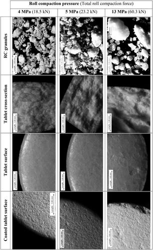 Figure 6. Light microscopy of roll compacted granules, cross-section (after determination of tablets hardness) and the surface of tablets and surface of coated tablets prepared at different roll compaction pressure and tableting at 25 kN.