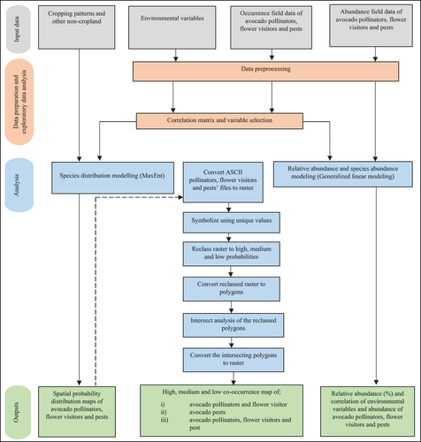 Figure 2. Flow diagram of the approach adopted for the species distribution modelling, co-occurrence analysis, and species abundance modelling of avocado pollinators, flower visitors and pests. ASCII = American Standard Code for Information Interchange; MaxEnt = maximum entropy.