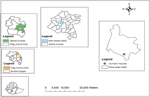 Figure 1. Map of the study area.