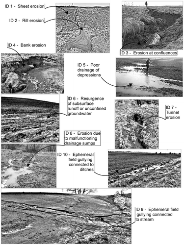 Figure 6 Different erosion categories surveyed.