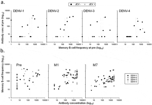 Figure 6. Correlations between memory B-cell responses and neutralizing antibody responses in Thai adults. Memory B-cell responses and DENV-specific neutralizing antibody responses observed in Thai adults are presented at pre-vaccination (pre), by the subjects’ baseline Japanese encephalitis virus (JEV) priming status (a), and at pre-vaccination, 1 month after the first (P1(M1)) and the second (PII(M7)) dose, by DENV serotype (b).