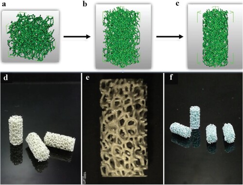 Figure 4. The first report of DLP technology being used to generate hydroxyapatite constructs with open-cell foam structure. (a) Cubic sponge, (b) double cubic sponge and (c) cylindrical sponge structures generated using a computer-aided design file created from micro-computed tomography of a commercial polyurethane sponge (45 pores per inch). (d and e) Printed structures after removing the uncured resin, and (f) sintered scaffolds with sponge architecture [Citation31].
