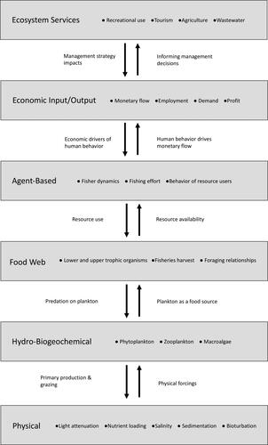 Figure 1. Box model of different model classes identified for Narragansett Bay (RI, USA), as well as their connections to one another.