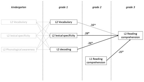 Figure 3. Linear Regression Analysis: Effects of L2 Vocabulary, L2 Lexical Specificity, L2 Decoding in grade 1 and L1 Reading Comprehension in Grade 2 on L2 Reading Comprehension in grade 3.Note: Standardized β coefficients are shown. * p  < .05; ** p  < .01; *** p  < .001.