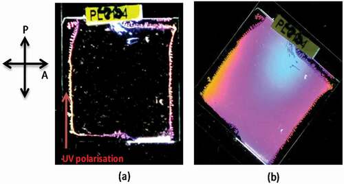 Figure 5. (Colour online) Photograph of a sandwich cell containing photo-polymerised liquid crystalline alignment layer made from PLC242. The alignment layer was illuminated prior assembling the cells with UV linear polarised light at normal incidence. The cell was filled with ZLI4792 and placed in between two crossed polarisers with easy axis direction a) parallel to the polariser and b) at 45° with respect to it. The direction of the UV light polarisation is shown in the picture.