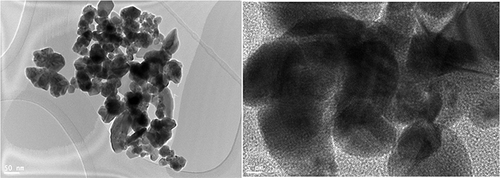 Figure 4 TEM micrographs of AgNPs (left) and distinct lattice fringes (inset) (right).