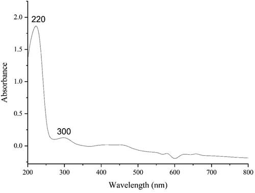 Figure 1. UV–vis the spectrum of green synthesized FeNPs.
