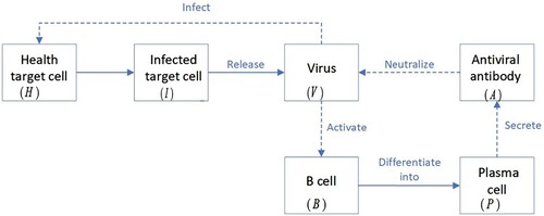 Figure 1. The flow chart for the within-host virus Model (Equation1(1a) H′=λH−τHV−δHH,(1a) ).