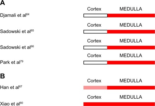 Figure 5 (A and B) Intrarenal oxygenation in human subjects with acute rejection of renal allografts studied by blood oxygen level-dependent magnetic resonance imaging.