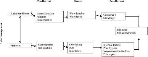 Figure 2 Factors affecting the fish value chain.