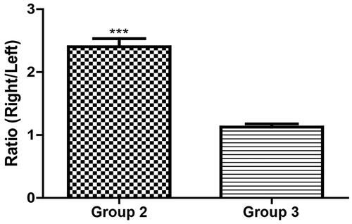 Figure 5. Comparison of TMZ concentration ratio of ipsilateral (right) to contralateral (left) hemispheres of rats in group 2 and 3 treated with 20 mg/kg injection; ***p < .0001, significant difference between groups 2 and 3 using a two-tailed unpaired t-test.