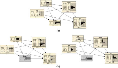 Fig. 13 Example 5 built in Netica and intervention on Smoke only.