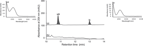 Figure 10. Expansions from the HPLC-DAD-ESIMS chromatograms (254 nm) of EtOAc extracts derived from Thanatephorus cucumeris (ACM-194F) cultured for 10 days in ISP-2 broth (a) with and (b) without LPS (0.6 ng/mL). Activated metabolites are shown in dark grey.