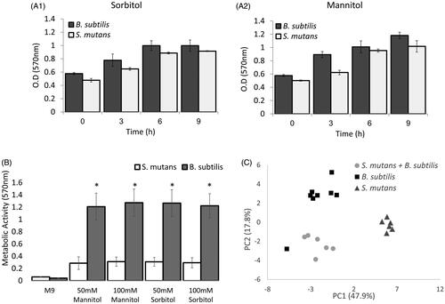 Figure 4. B. subtilis demonstrates extend potential to metabolise sorbitol and mannitol compare to S. mutans in earlier stages of growth. A. B. subtilis or S. mutans cells were grown in TY medium with 50mM sorbitol (A1) or mannitol (A2). At each time point, a sample was taken and the culture metabolic activity was determine using the MTT assay. Although the metabolic activity of B. subtilis was higher than S. mutans in all time points, the difference wad not significant. Results represent mean ± SD of two independent experiments each performed in triplicate. B. B. subtilis or S. mutans cells were grown in M9 medium with 50mM or 100mM sorbitol or mannitol. After 6 h the culture metabolic activity was determine using MTT assay. The metabolic activity of B. subtilis was significantly higher than S. mutans in the presence of sorbitol or mannitol. results represent mean ± SD of two independent experiments each performed in triplicate. C. B. subtilis or S. mutans cells were grown alone or in a co-culture in TY medium with 50mM sorbitol. After 6 h growth, a sample of a media was collected for secondary metabolomics analysis using GCMS. The secondary metabolic profile of B. subtilis is more similar to the profile of the mixed culture than S. mutans secondary metabolic profile. The results represent PCA analysis of three biological experiments each performed in duplicate.