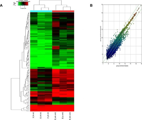 Figure 1 circRNA microarray sequencing of NSCLC samples. A (left insert) is the volcano plot of circRNA expressions, and B (right insert) is the scatter plot of circRNA expressions.